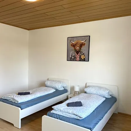 Lichtdurchflutete 3-zimmer-wohnung Apartment